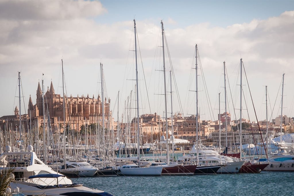 Palma Port and Cathedral