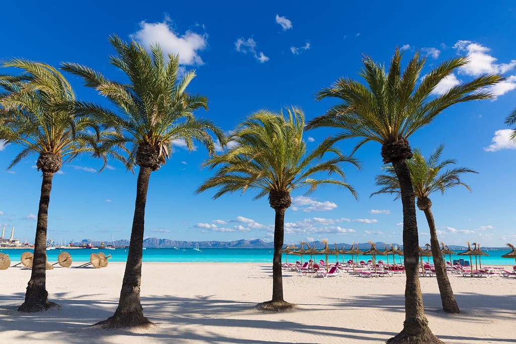 Playa De Alcudia