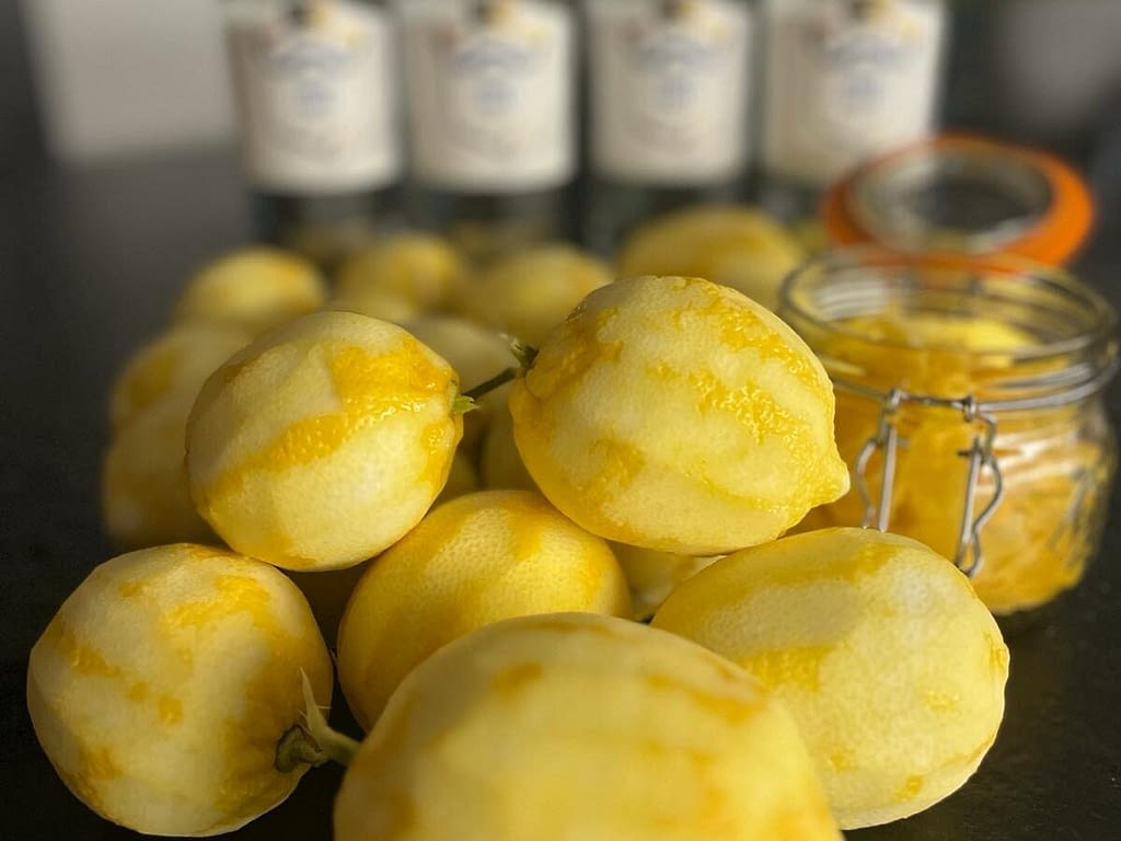 Zested lemons while making lemoncello