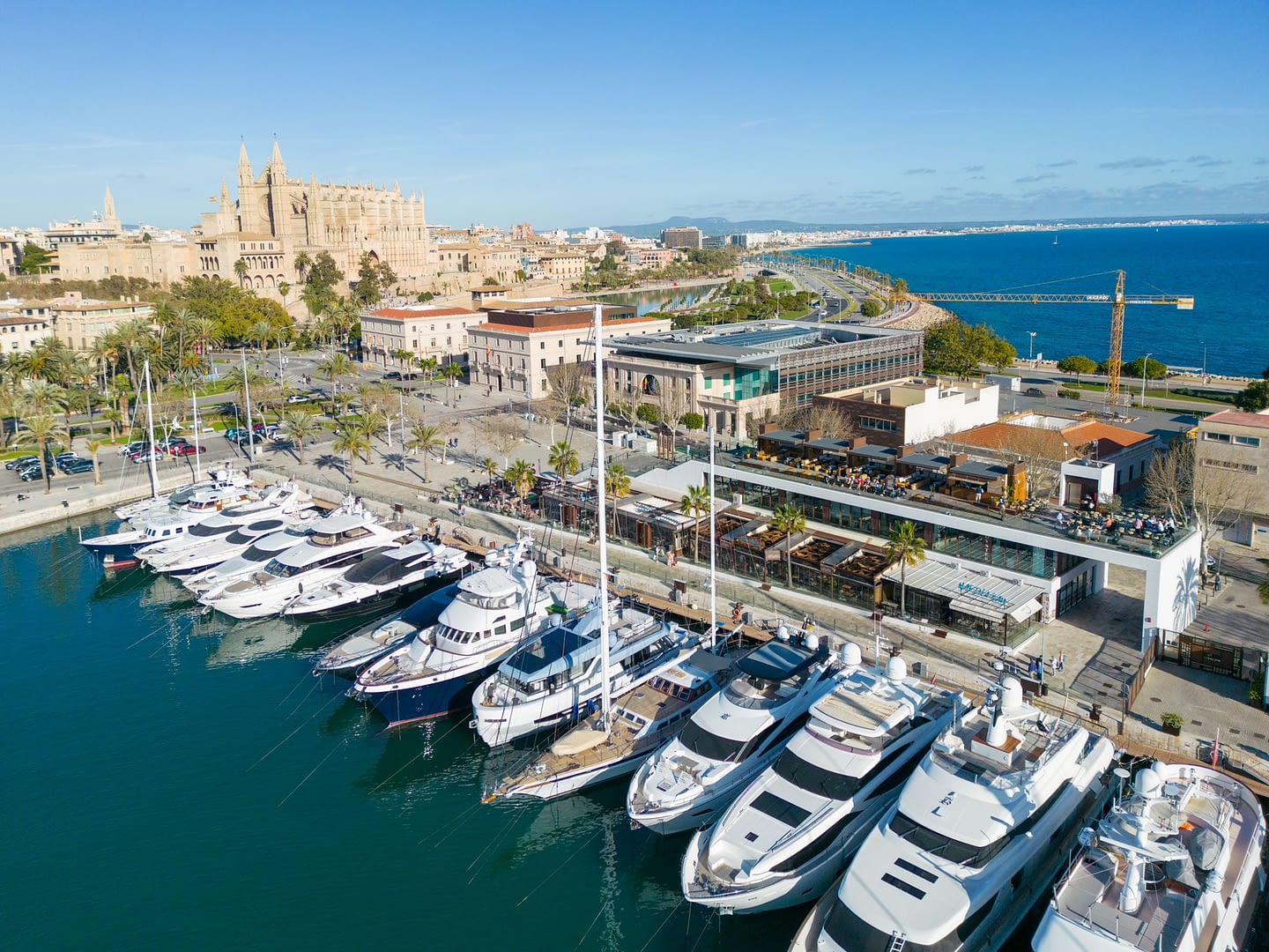 Palma Cathedral and Port