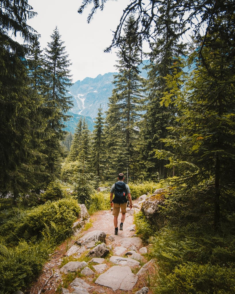 Outdoor walk in forest